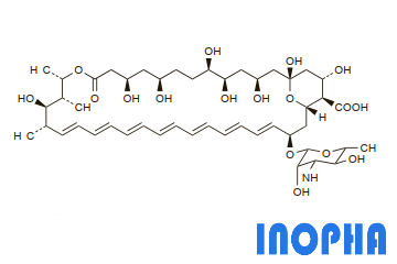 Amphotericin B API Price|Buy Amphotericin B Raw Material Online ...