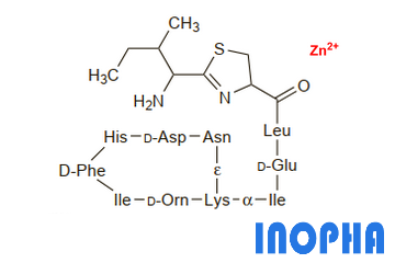 Bacitracin Zinc API Price|Buy Bacitracin Zinc Raw Material Online ...